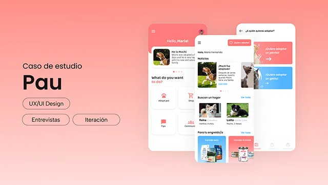 Caso de estudio: Paw